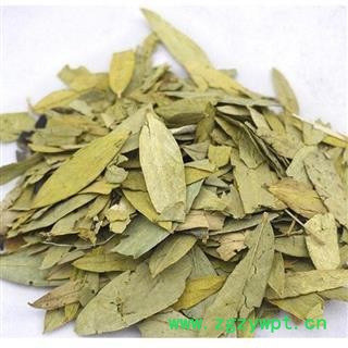 番泻叶 统 产地 广西壮族自治区图2