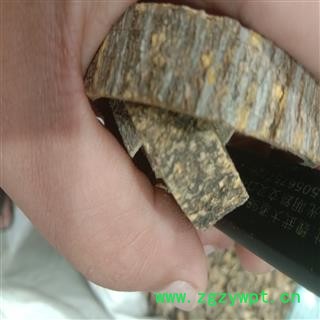 海桐皮 海桐皮正品包化验 产地 浙江省金华市金东区图2