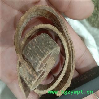 海桐皮 海桐皮正品包化验 产地 浙江省金华市金东区