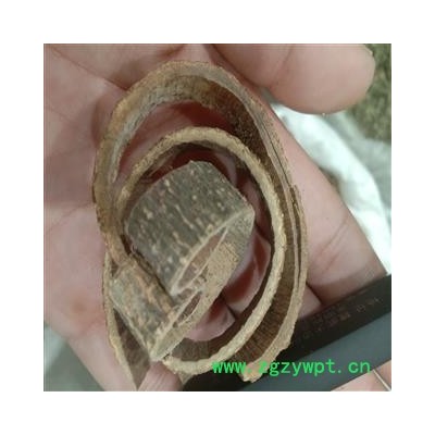 海桐皮 海桐皮正品包化验 产地 浙江省金华市金东区