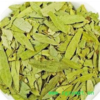 番泻叶 番泻叶选货 产地 广西壮族自治区图3