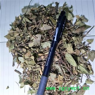 络石藤 络石藤统段 产地 湖北省图2