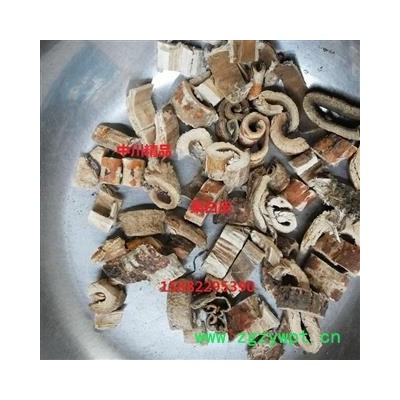 中川精品桑白皮   产地四川  库存1000可售