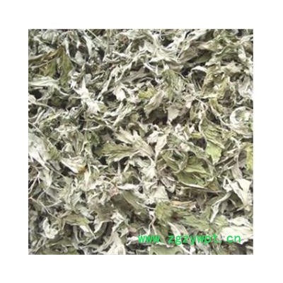 今年新货大叶艾叶切片气味浓颜色好干货无硫