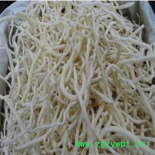 小通草 统 产地 广西壮族自治区玉林市玉图3