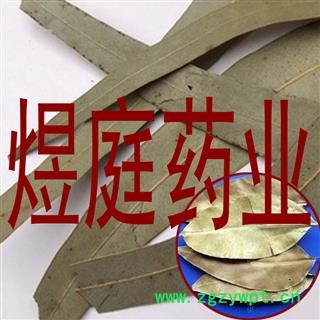 煜庭药业 桉叶 桉树叶 正品图3