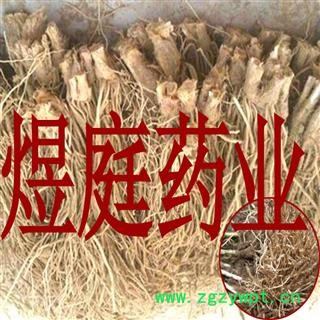 煜庭药业 韭菜根图4