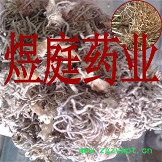 煜庭药业 韭菜根图2