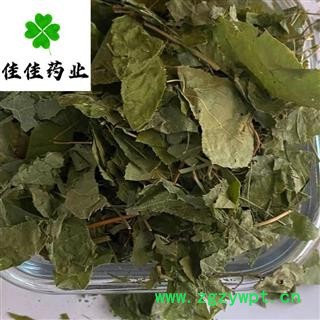 正品甘肃小叶淫羊藿 洋火叶 仙灵脾 假一赔十 产地直销 净货 产地 甘肃省陇南市图4