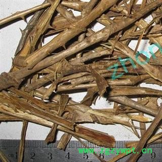 煜庭药业 刺老芽根皮、刺龙芽 刺龙牙图2