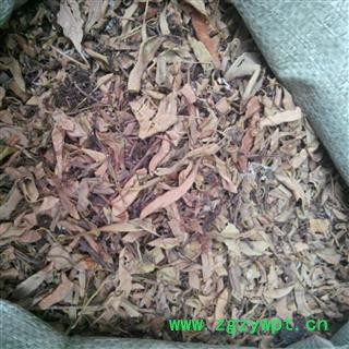 【录建药业】新货石苇1000克  重在品质 过筛无杂质   规格齐全 批发零售抓方打粉图3