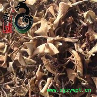 【录建药业】新货石苇1000克  重在品质 过筛无杂质   规格齐全 批发零售抓方打粉图2