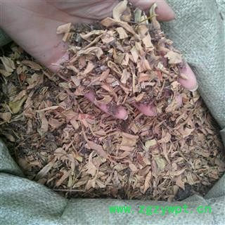 【录建药业】新货石苇1000克  重在品质 过筛无杂质   规格齐全 批发零售抓方打粉图4