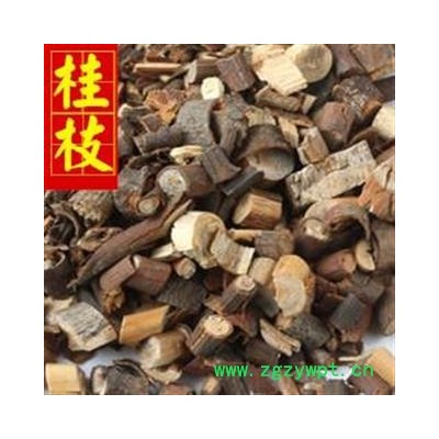 桂枝 统 供应大货 味道好 产地直销 产地 广西壮族自治区