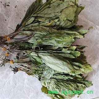 人参叶 人参叶6年小叶符合2020版药典标准产地直供 产地 吉林省白山市抚松县图2