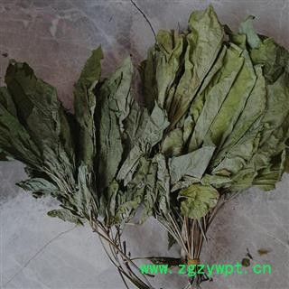 人参叶 人参叶6年小叶符合2020版药典标准产地直供 产地 吉林省白山市抚松县