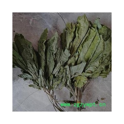 人参叶 人参叶6年小叶符合2020版药典标准产地直供 产地 吉林省白山市抚松县