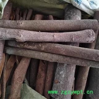 肉桂 原装大统 产地 广西壮族自治区