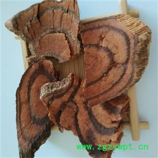 鸡血藤【国舜堂】产地货源量大从优 中药材批发供应【鸡血藤】图3