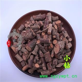 小血藤 钻骨风 小钻 南五味子根 统 产地 广西壮族自治区