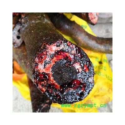 野生新鲜黑血藤 黑骨藤 黑风藤 生品血藤 湿品整条 地摊药 砍砍药 泡酒