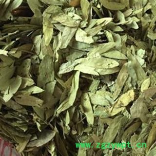 灵吉药业  泻叶 番泻叶  统货 道地药材 产地直销 货真价实图4