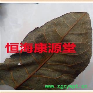 恒海康源堂 野生 青钱柳 摇钱树 青钱李 产地直销 支持验货图3