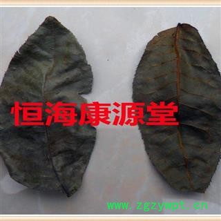 恒海康源堂 野生 青钱柳 摇钱树 青钱李 产地直销 支持验货图2