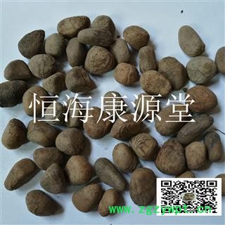 恒海康源堂大风子 大风子仁统 产地 进口图4