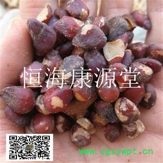 恒海康源堂大风子 大风子仁统 产地 进口图2