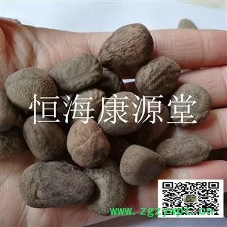 恒海康源堂大风子 大风子仁统 产地 进口图3