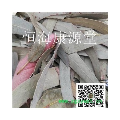 恒海康源堂桉树叶 原叶选 产地 江西省萍乡市产地直销质优价廉