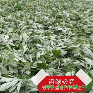 艾叶 3年陈 产地 河南省南阳市图3