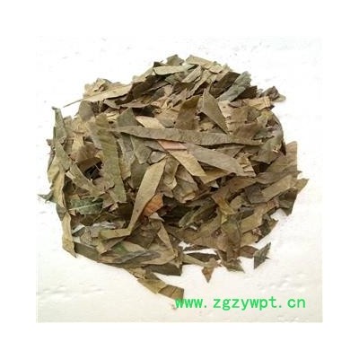 枇杷叶 枇杷叶绿色统段 产地 青货无杂质  大货专营