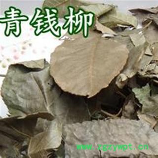 青钱柳纯叶自然老叶别名摇钱树金钱柳无硫茶用