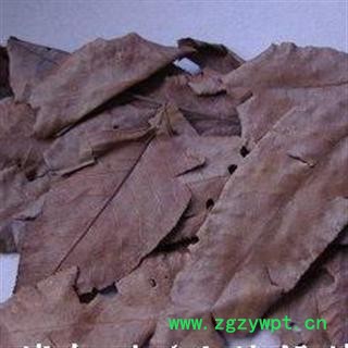 青钱柳纯叶自然老叶别名摇钱树金钱柳无硫茶用图2