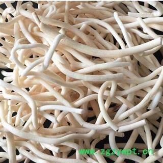 通草 小通草 条子 精选 产地 广东省茂名市电白区 邓氏图4