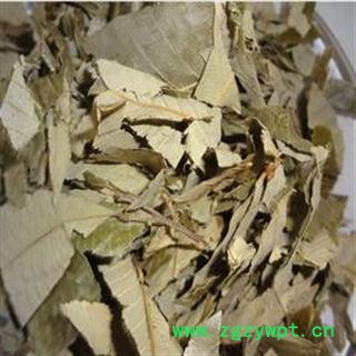 淫羊藿 统 产地 河南省南阳市市辖区图3