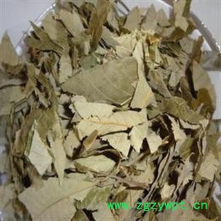 淫羊藿 统 产地 河南省南阳市市辖区图2