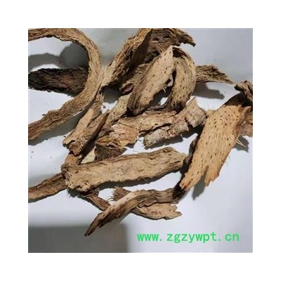 千年健 大血藤小选片1.0 产地 广西壮族自治区