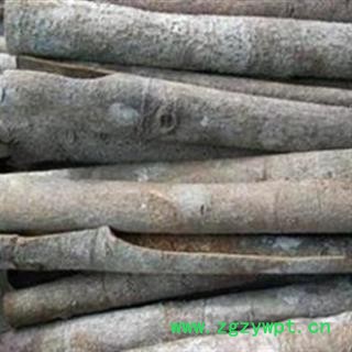 肉桂 产地直销肉桂，桂皮 产地 广西壮族自治区图3