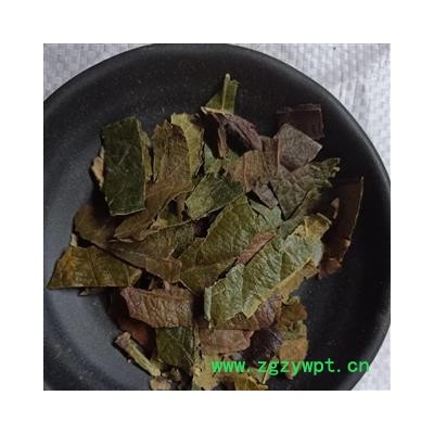 枇杷叶 枇杷叶精选货 产地 浙江省 小影全品类中药材店铺