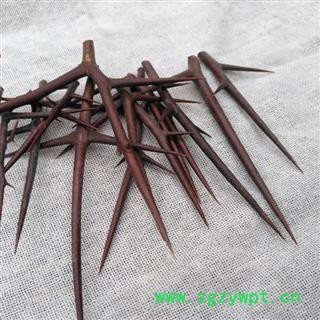 秦岭野生皂荚刺500g精选纯刺无枝中药材皂荚刺天然皂荚刺皂角刺图3