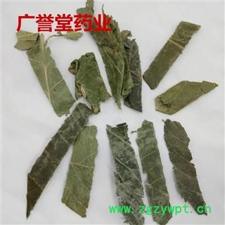 枇杷叶 枇杷叶统片云南 产地 云南省图4