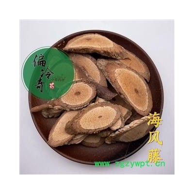 海风藤 白毛海风藤 广西海风藤 统