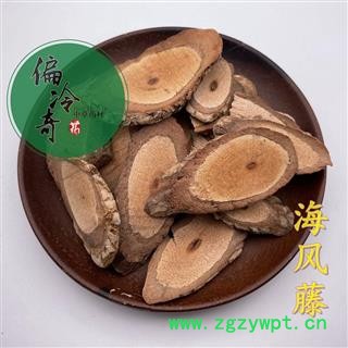 海风藤 白毛海风藤 广西海风藤 统图2