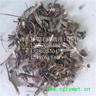 打不死 统货 产地 广西壮族自治区玉林市市辖区图2