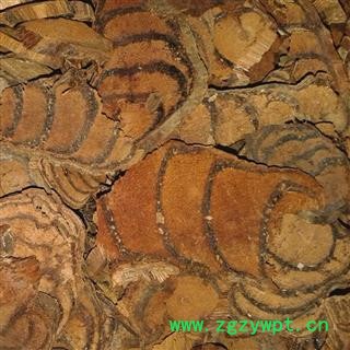 鸡血藤 片统 产地 广西壮族自治区玉林市北流市图2