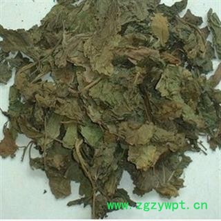 桑叶, 霜桑叶, 产地 河南省禹州市图3
