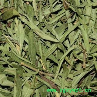 甜叶菊 甜菊叶 药用甜叶菊 茶用 正品 优质 无污染 精选 优惠图2